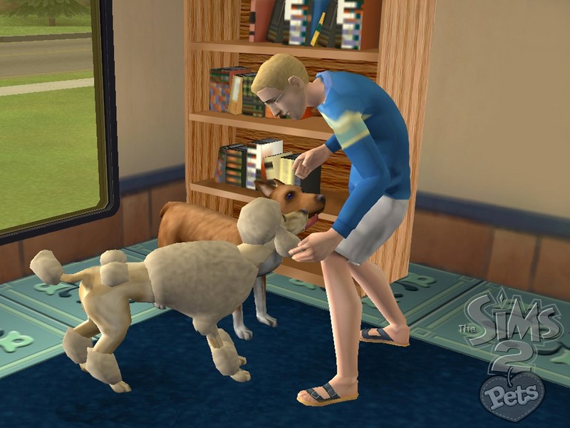 The Sims 2: Pets for Nintendo Wii image