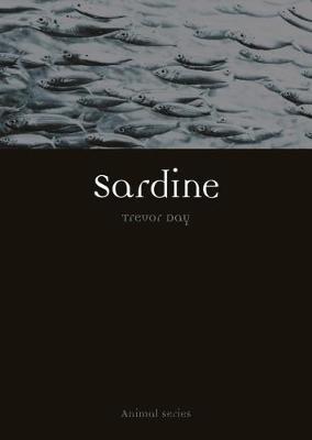 Sardine by Trevor Day image