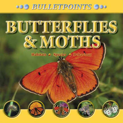 Butterflies and Moths by Barbara Taylor image