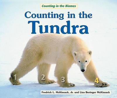 Counting in the Tundra image