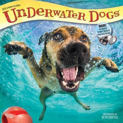 Underwater Dogs 2019 Square Wall Calendar by Inc Browntrout Publishers image