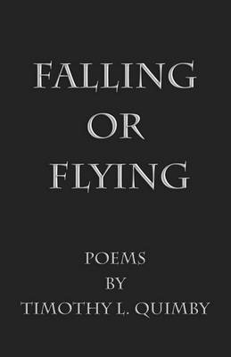 Falling or Flying by Timothy L. Quimby image