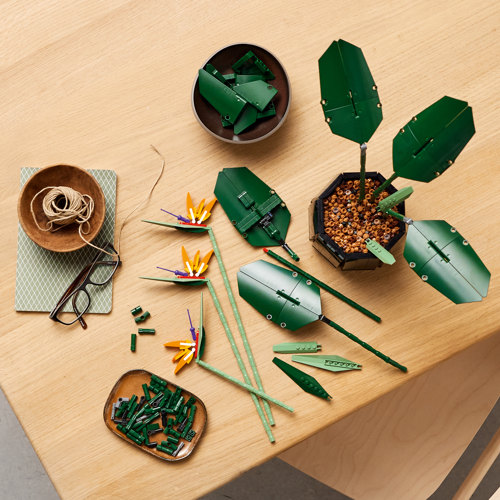 LEGO Creator: Botanical Series - Bird of Paradise (10289) image