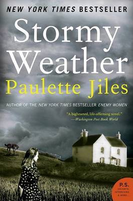 Stormy Weather by Paulette Jiles image