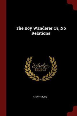 The Boy Wanderer Or, No Relations by * Anonymous image