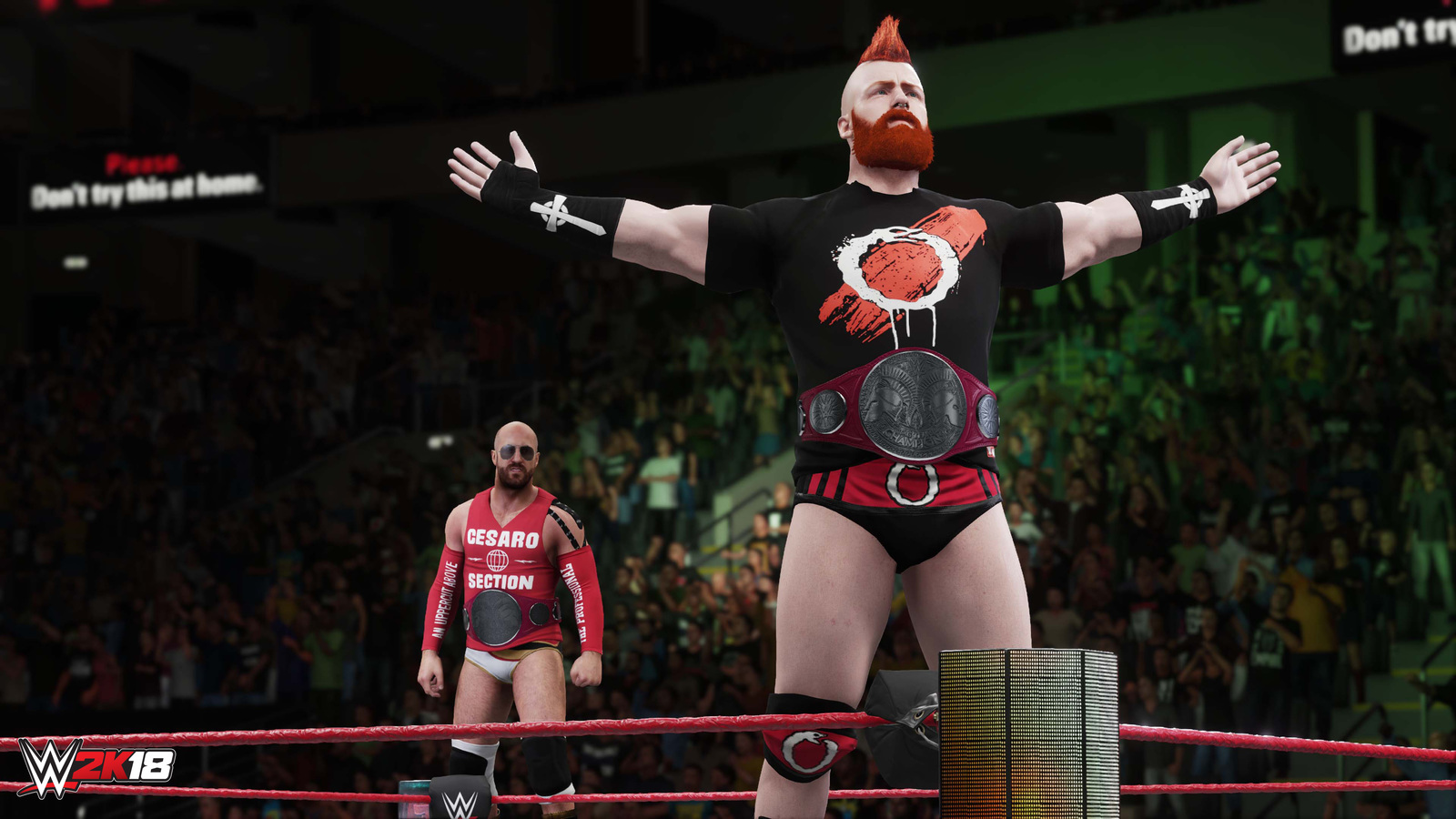 WWE 2K18 for PS4 image