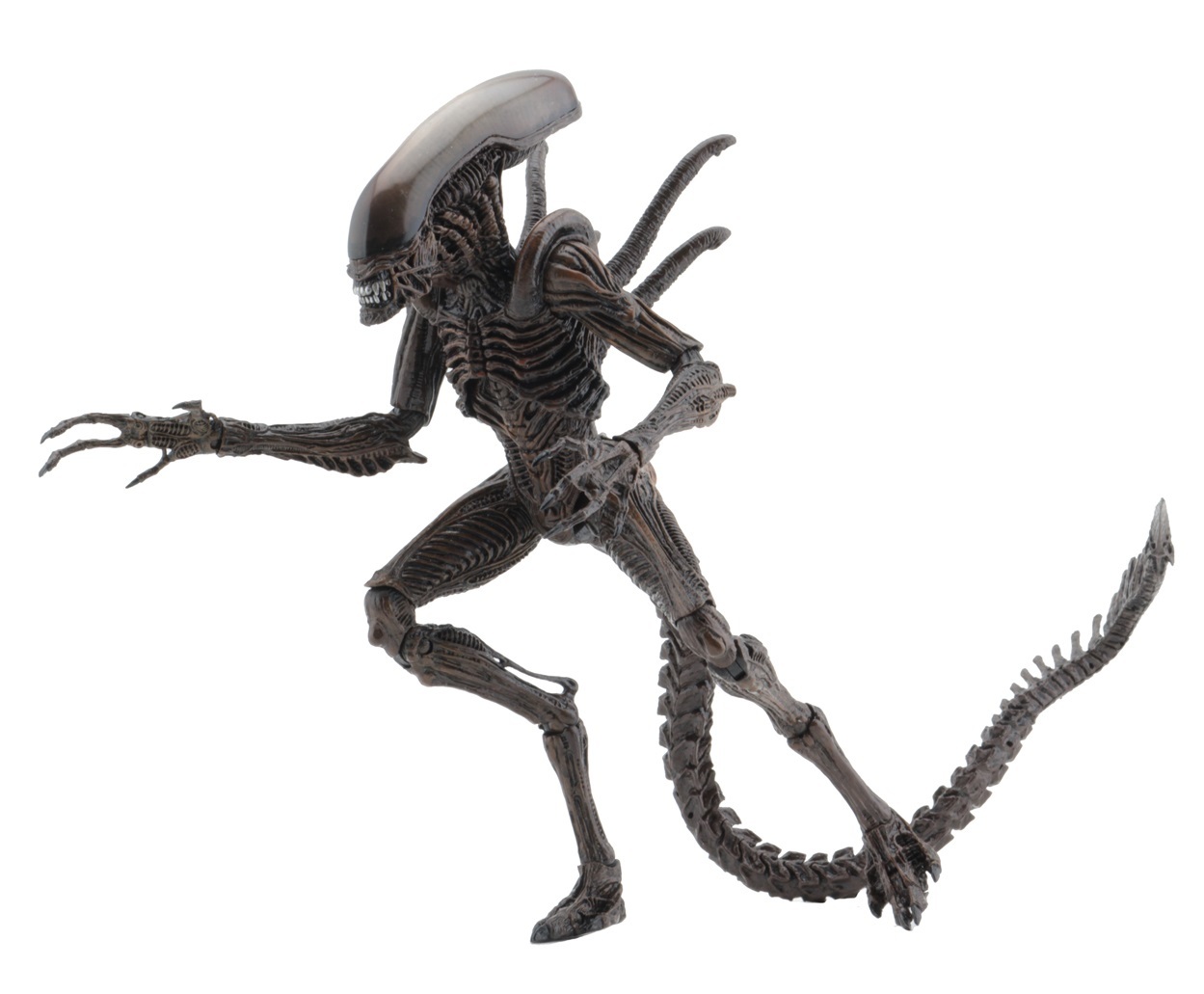 Aliens Resurrection: Xenomorph Warrior - 9″ Articulated Figure image