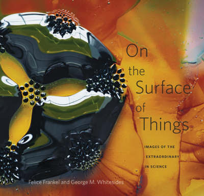 On the Surface of Things: Images of the Extraordinary in Science by Felice C. Frankel image