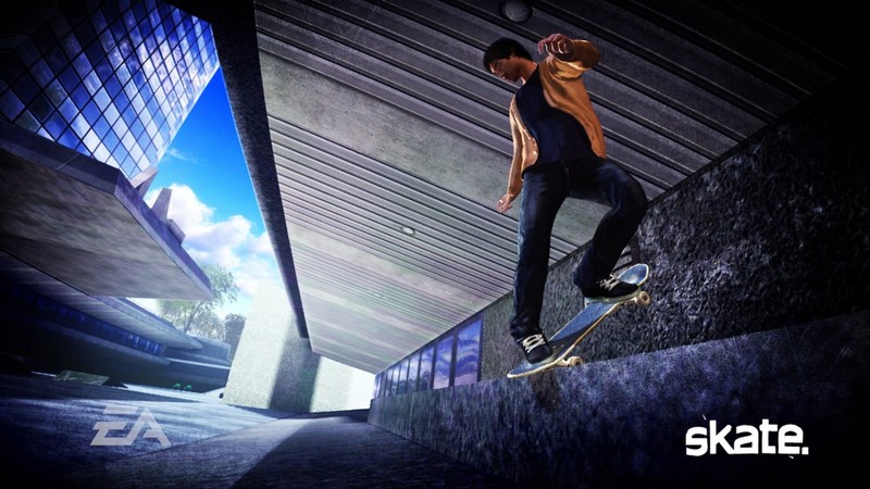 Skate image