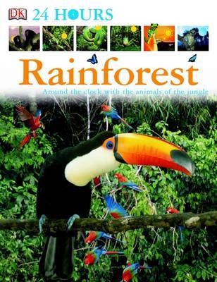 Rainforest on Hardback