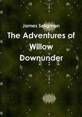 The Adventures of Willow Downunder by Customer Experience in Modern Marketing James Seligman