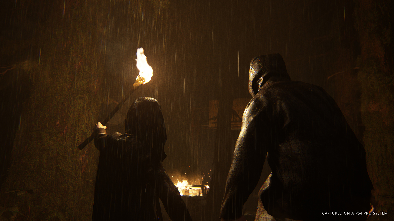 The Last of Us 2 for PS4 image