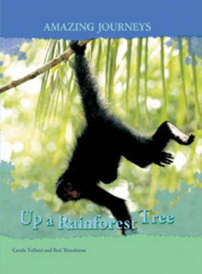 Up a Rainforest Tree on Hardback by Carole Telford