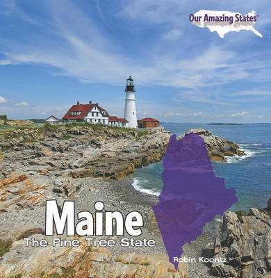 Maine by Robin Michal Koontz image