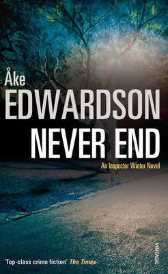 Never End by Ake Edwardson image