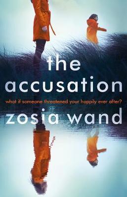 The Accusation by Zosia Wand image