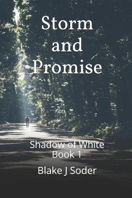 Storm and Promise by Blake J Soder image