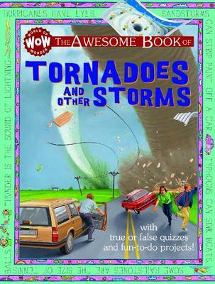 Tornadoes & Other Storms on Hardback by Kate Petty