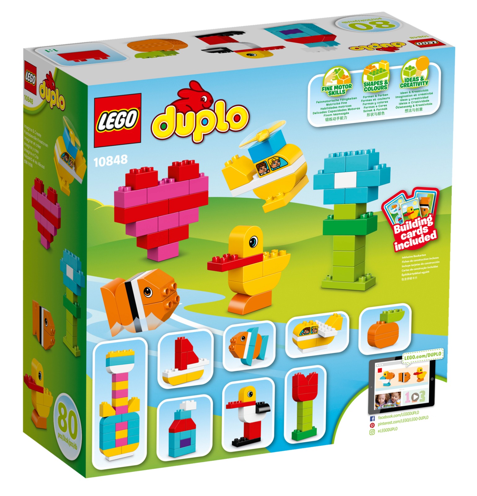 LEGO DUPLO: My First Bricks (10848) image