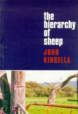 The Hierarchy of Sheep by John Kinsella image