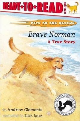 Brave Norman by Andrew Clements image