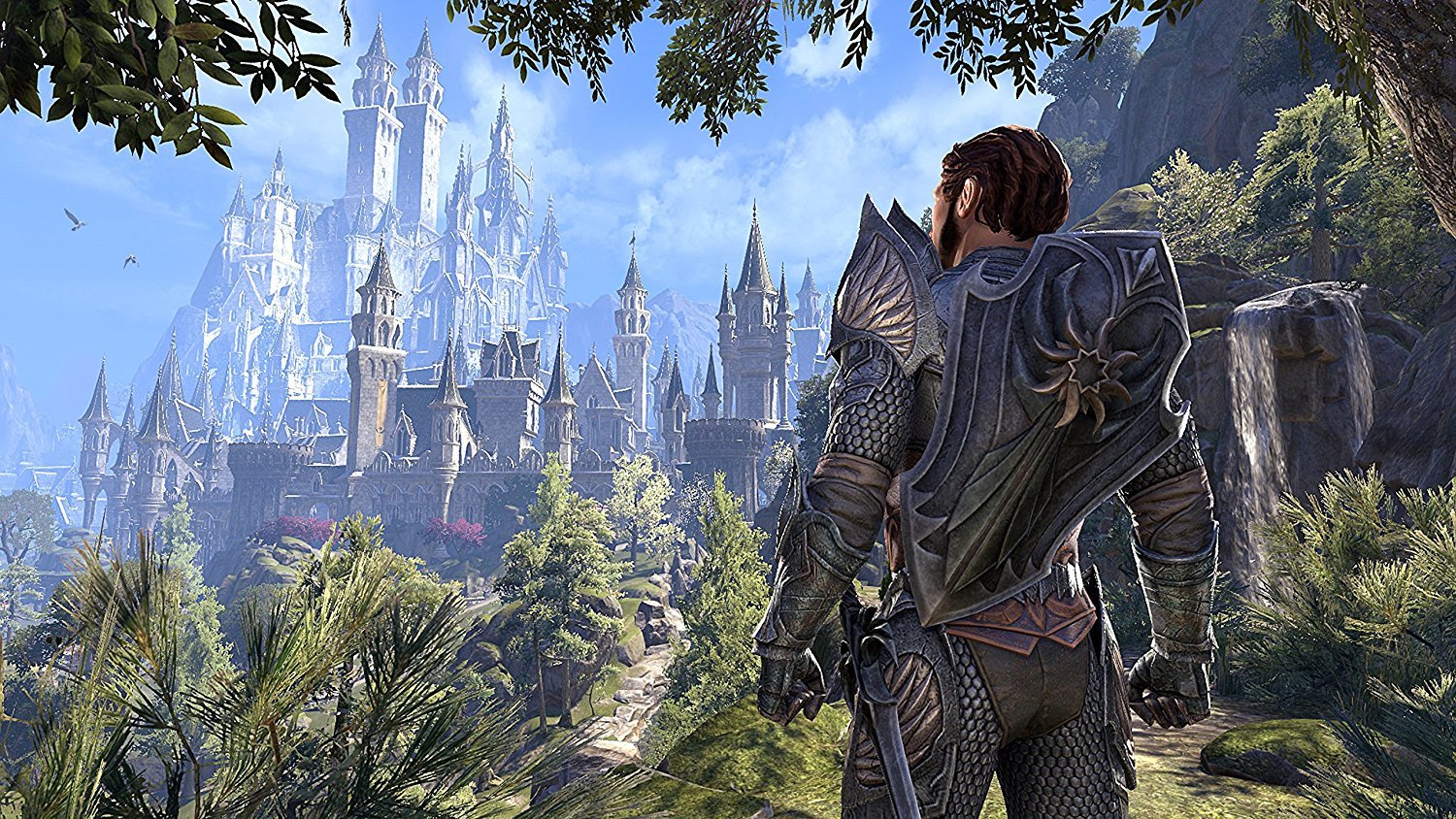 Elder Scrolls Online: Summerset on PS4