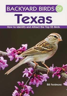 Backyard Birds of Texas by Bill Fenimore image