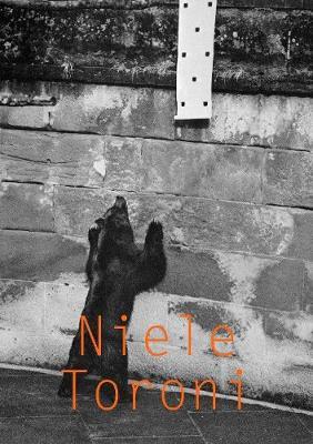 Niele Toroni image