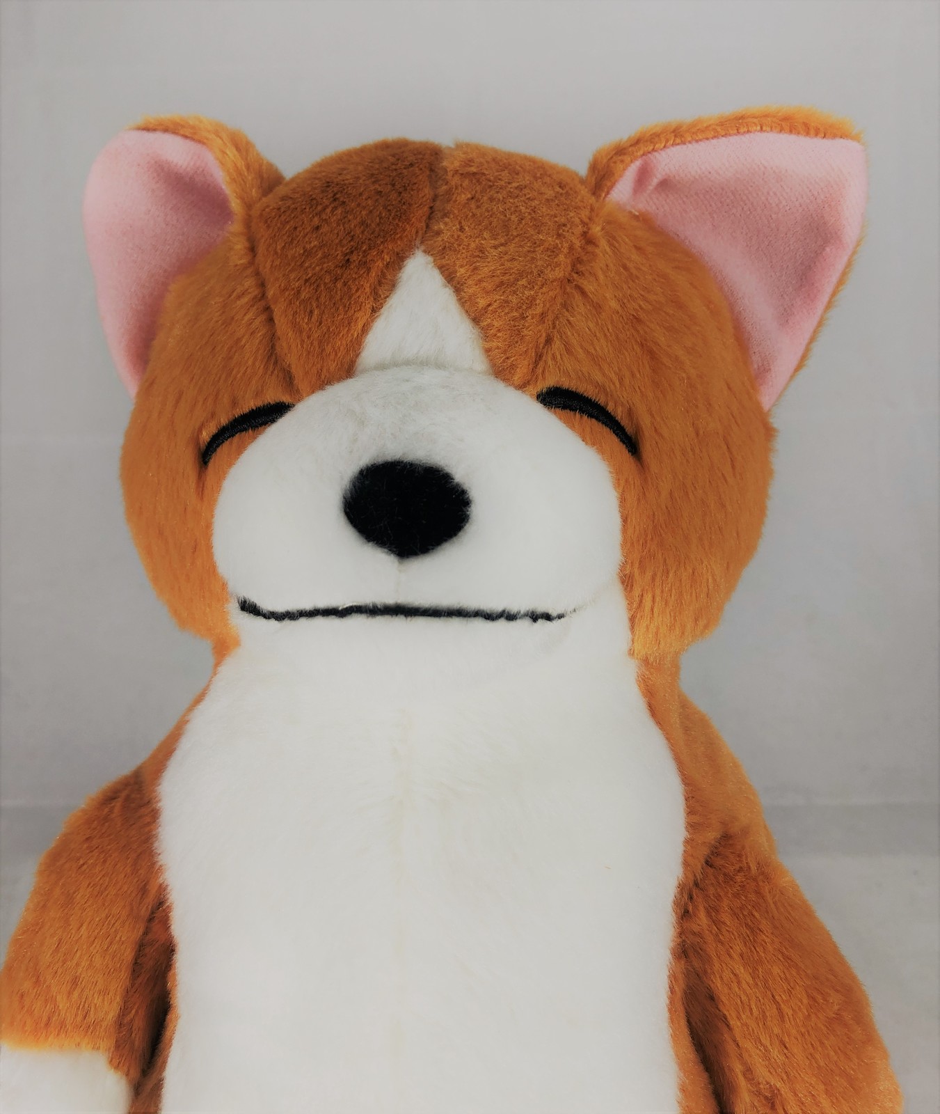 Zoo Zoo Zoo Sleeping Animal Big Plush -Shiba Inu - image