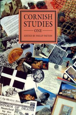 Cornish Studies Volume 1 image