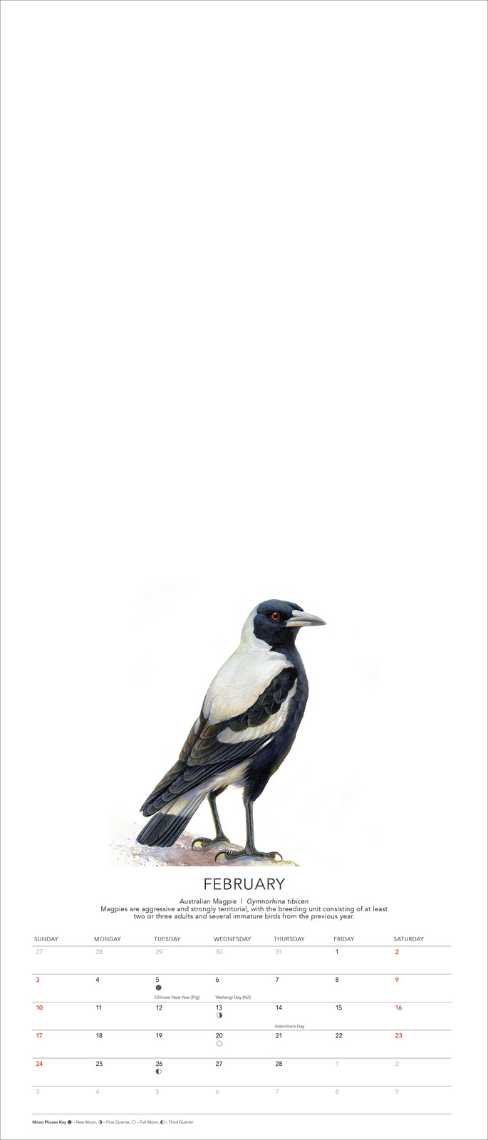 Buy Birds Of Australia The Art Of Jeremy Boot 2019 Deluxe Wall