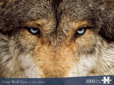 Gray Wolf Eyes image