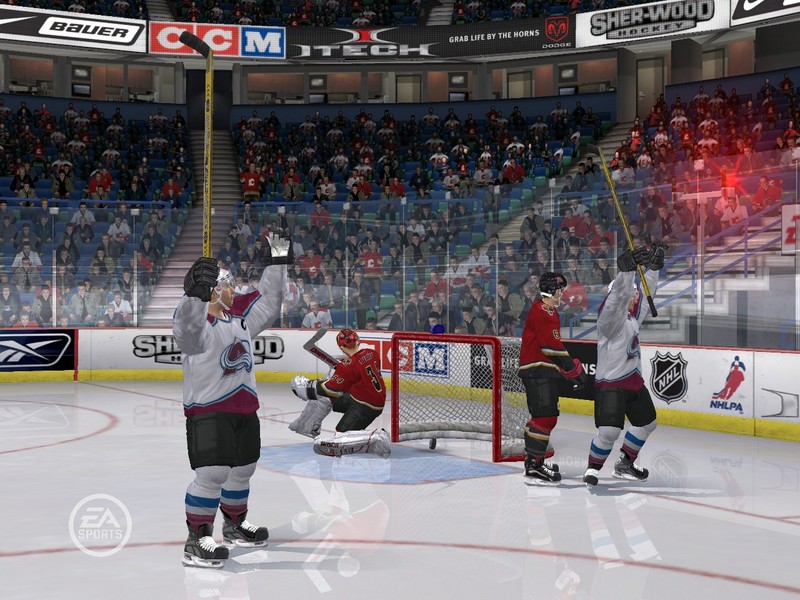 NHL 07 image