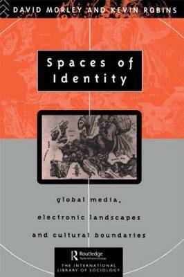 Spaces of Identity by David Morley image
