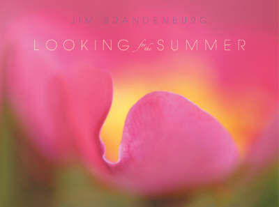 Looking for the Summer by Jim Brandenburg image