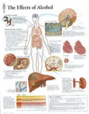 Effects of Alcohol image