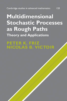 Multidimensional Stochastic Processes as Rough Paths by Peter K. Friz image