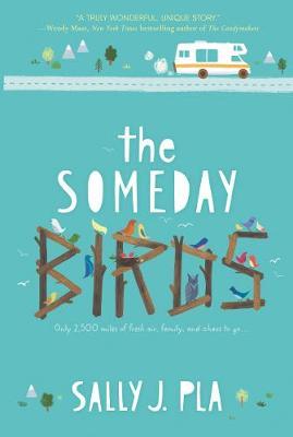 The Someday Birds image