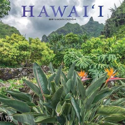 Hawaii 2019 Square Wall Calendar by Inc Browntrout Publishers image