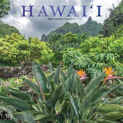 Hawaii 2019 Square Wall Calendar image