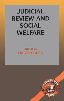 Judicial Review and Social Welfare image
