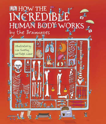 How the Incredible Human Body Works: by the Brainwaves by Richard Walker image