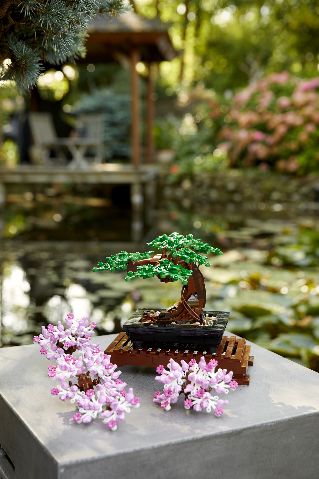LEGO Creator: Botanical Series - Bonsai Tree (10281) image