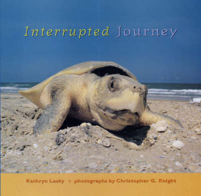 Interrupted Journey on Hardback by Kathryn Lasky