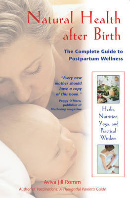Natural Healing After Birth by Aviva Jill Romm image
