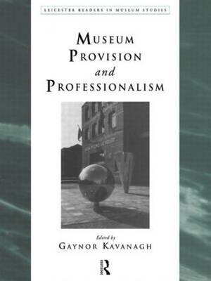 Museum Provision and Professionalism image