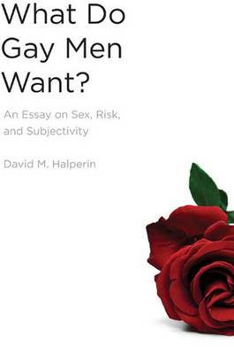 What Do Gay Men Want? by David M. Halperin image
