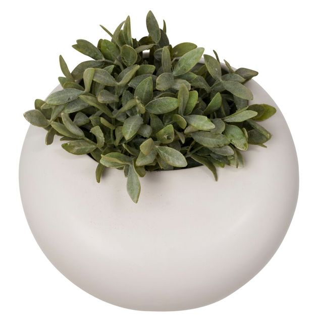 General Eclectic Wall Planter - Round