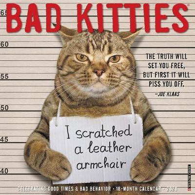 Bad Kitties 2020 Wall Calendar by Willow Creek Press image