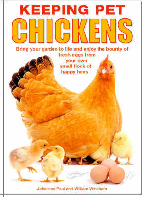 Keeping Pet Chickens image